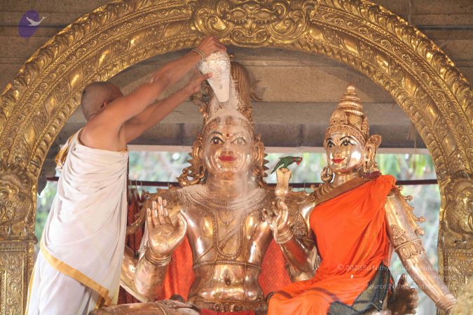 20111228 Photo 1341 1Upal-H3M6Zc9VbnaopaFnArLQzni6lue.JPG