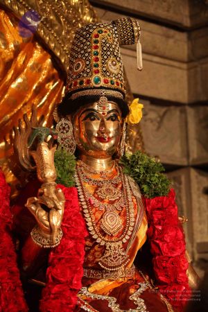 20111228 Photo 1348 1oQnsBeQQuhrocDvcGRAJdqYxib720RFr.JPG