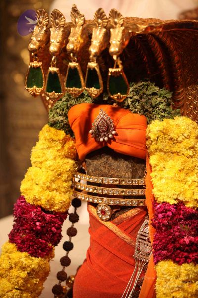 File:20111228 Photo 1360 1pl0-GSiQhO8Yp3GvFH2NTOEDbbd7Azxa.JPG