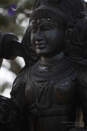 20111228 Photo 1520 1A33dic02L GMXXKXY20oJo-ynORJbu6e.JPG