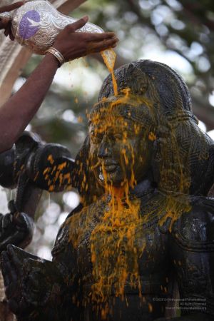 20111228 Photo 1532 1IIIgmMyUYIdLlM3KyZo4GBhVQd65pkrs.JPG