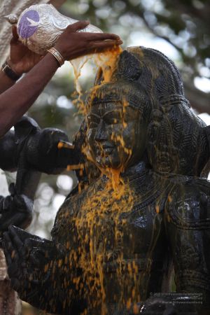 20111228 Photo 1539 1wY3DvpAEZDTUpoVliMZVUhhuqXMc4KH0.JPG