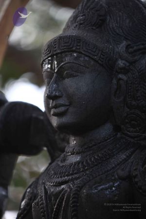 20111228 Photo 1553 1pQYjvMJVjBw9L1C5BfUNqEM518Xd6HEv.JPG