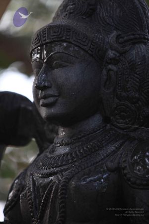 20111228 Photo 1554 1LVOVpc89ln-GVecbus30KgwtYR-Pv2fJ.JPG