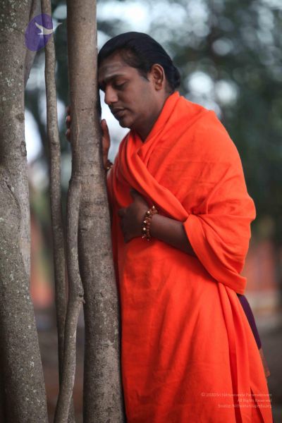 File:20111229 Photo 1016 1 SwHJ9XtHzo6ohOkQT4ODU4JQojLKkZO.JPG