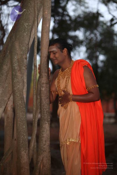 File:20111230 Photo 1006 1yfLso2gs-8MSr6TARuUlyWrK9EIkXPmX.JPG