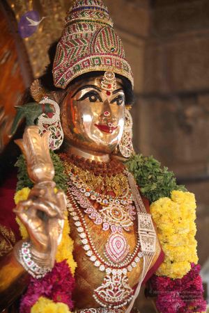 20111231 Photo 1032 1 pzQguu7ubI9YpN3lI8R6XnBsA xsjgq.JPG