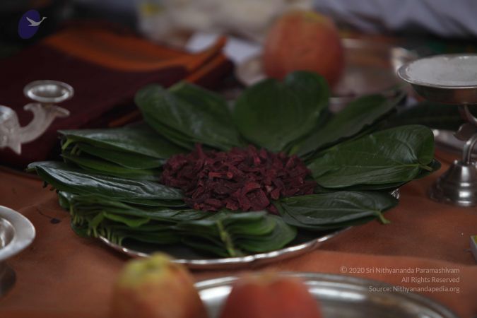 20111231 Photo 1306 1ViSnor6hVlxf72neiNIE96ITC0Mao78d.JPG