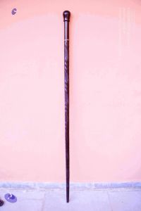 2011 PhotoAbum Walkingstick 7490 CMP WM.jpg