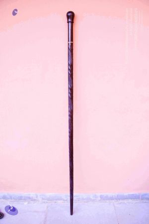 2011 PhotoAbum Walkingstick 7490 CMP WM.jpg