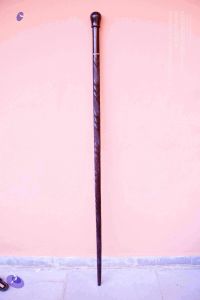 2011 PhotoAbum Walkingstick 7491 CMP WM.jpg