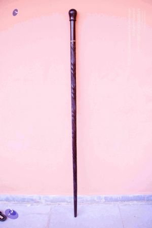 2011 PhotoAbum Walkingstick 7491 CMP WM.jpg