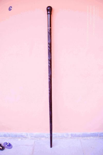 File:2011 PhotoAbum Walkingstick 7491 CMP WM.jpg