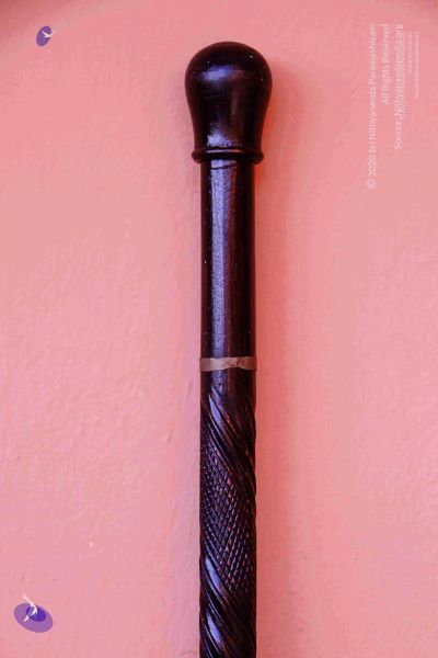 File:2011 PhotoAbum Walkingstick 7492 CMP WM.jpg