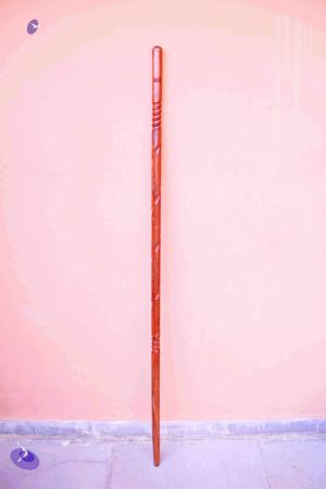 2011 PhotoAbum Walkingstick 7494 CMP WM.jpg