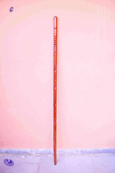 File:2011 PhotoAbum Walkingstick 7494 CMP WM.jpg