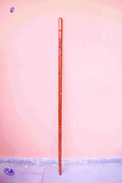 File:2011 PhotoAbum Walkingstick 7495 CMP WM.jpg