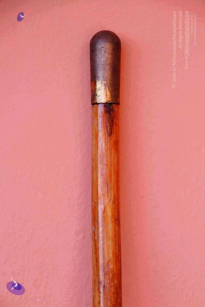 File:2011 PhotoAbum Walkingstick 7496 CMP WM.jpg