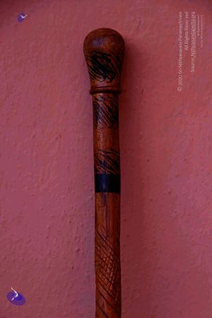2011 PhotoAbum Walkingstick 7499 CMP WM.jpg
