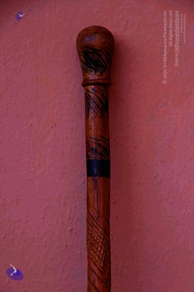 File:2011 PhotoAbum Walkingstick 7499 CMP WM.jpg
