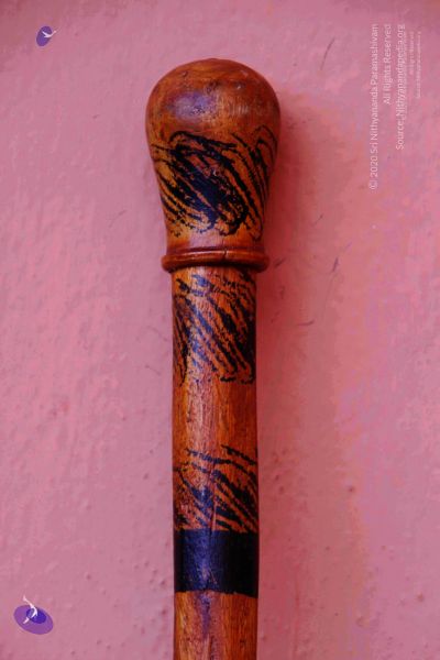 File:2011 PhotoAbum Walkingstick 7501 CMP WM.jpg