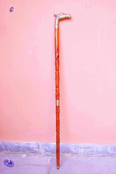File:2011 PhotoAbum Walkingstick 7502 CMP WM.jpg