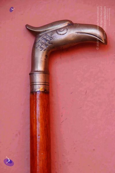 File:2011 PhotoAbum Walkingstick 7504 CMP WM.jpg