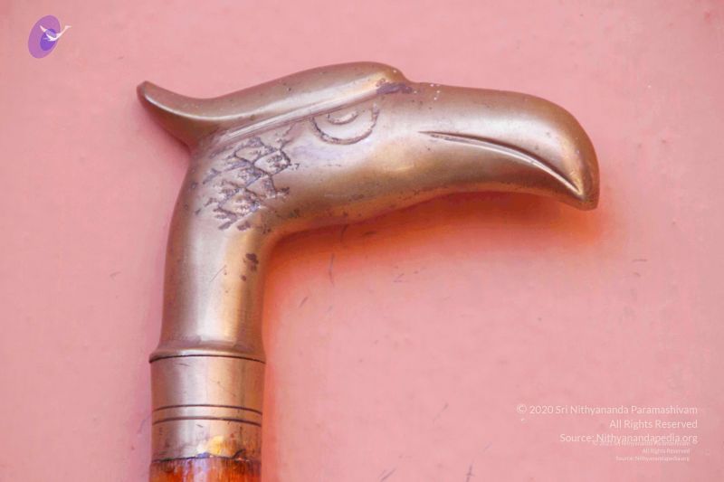 File:2011 PhotoAbum Walkingstick 7505 CMP WM.jpg