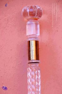 2011 PhotoAbum Walkingstick 7506 CMP WM.jpg