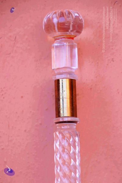 File:2011 PhotoAbum Walkingstick 7506 CMP WM.jpg
