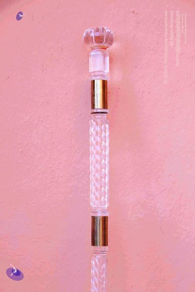 File:2011 PhotoAbum Walkingstick 7508 CMP WM.jpg