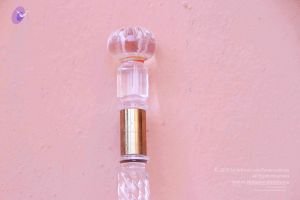 2011 PhotoAbum Walkingstick 7509 CMP WM.jpg
