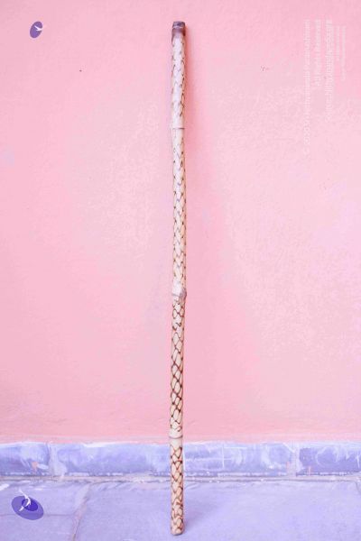 File:2011 PhotoAbum Walkingstick 7510 CMP WM.jpg