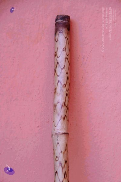 File:2011 PhotoAbum Walkingstick 7511 CMP WM.jpg