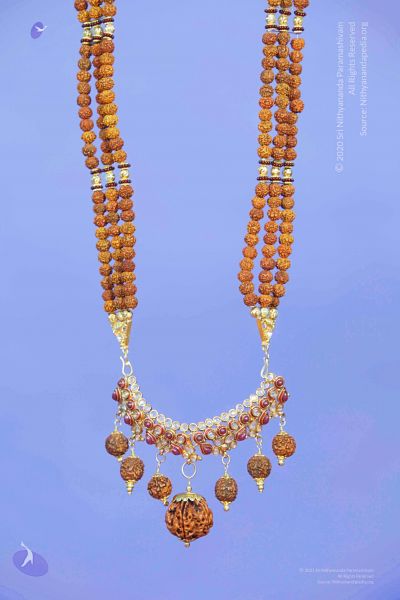 File:2011 PhotoAbum galleria 7540 CMP WM.jpg
