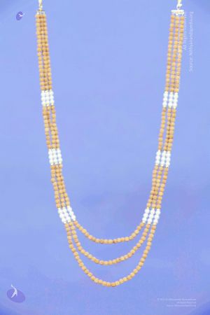 2011 PhotoAbum galleria 7548 CMP WM.jpg