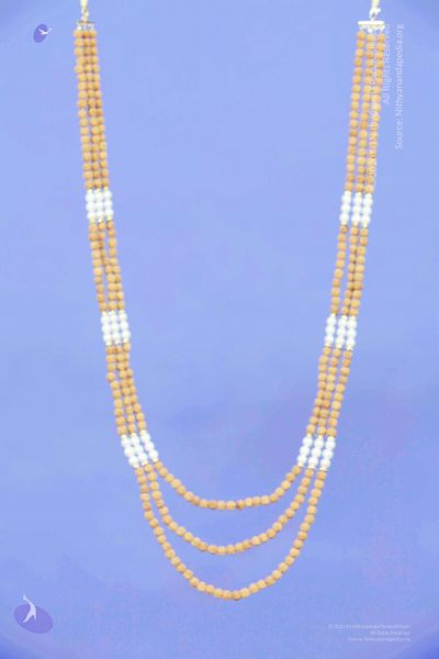 File:2011 PhotoAbum galleria 7548 CMP WM.jpg