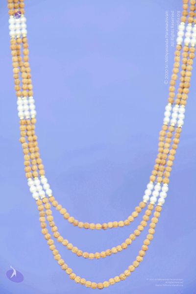 File:2011 PhotoAbum galleria 7550 CMP WM.jpg