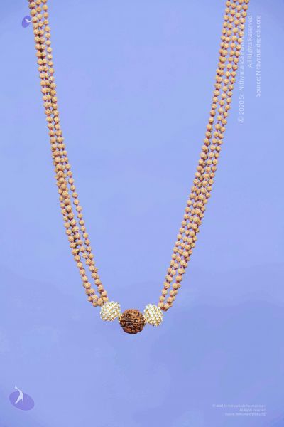 File:2011 PhotoAbum galleria 7561 CMP WM.jpg