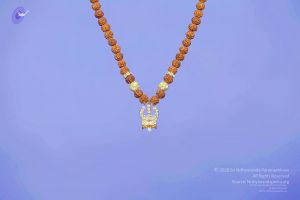 2011 PhotoAbum galleria 7566 CMP WM.jpg