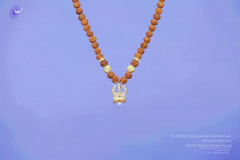File:2011 PhotoAbum galleria 7566 CMP WM.jpg