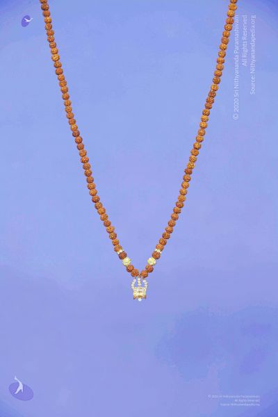 File:2011 PhotoAbum galleria 7567 CMP WM.jpg