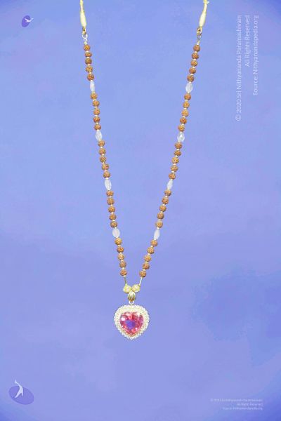 File:2011 PhotoAbum galleria 7569 CMP WM.jpg