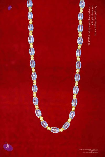 File:2011 PhotoAbum galleria 7572 CMP WM.jpg