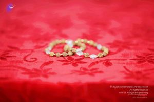 2011 PhotoAbum galleria 7602 CMP WM.jpg