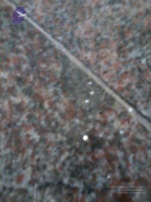 2011 eNMiracles Photo 140 1XqTaNpLX8zmh4kqruHO4io4n1wLzW5vu.jpg