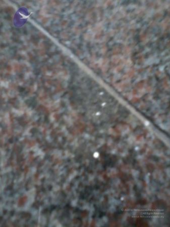2011 eNMiracles Photo 140 1XqTaNpLX8zmh4kqruHO4io4n1wLzW5vu.jpg
