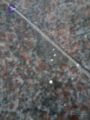 Thumbnail for version as of 18:11, 21 March 2021
