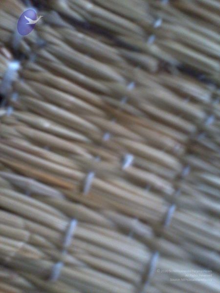 File:2011 eNMiracles Photo 142 1epJkwZf3fsdy Bxa5dg0uWggQ5GgrQ-3.jpg