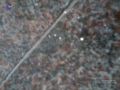 Thumbnail for version as of 18:12, 21 March 2021